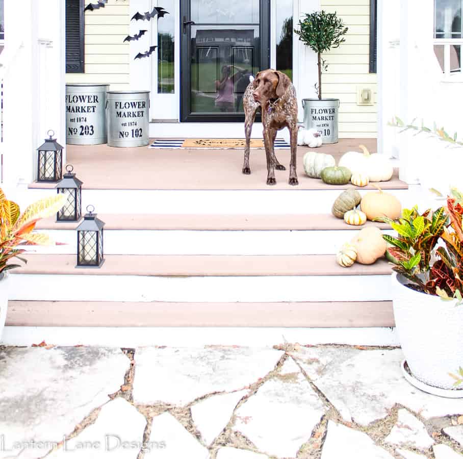 Fall Front Porch Decor Ideas #falldecor #DIYhomedecor #homedecor