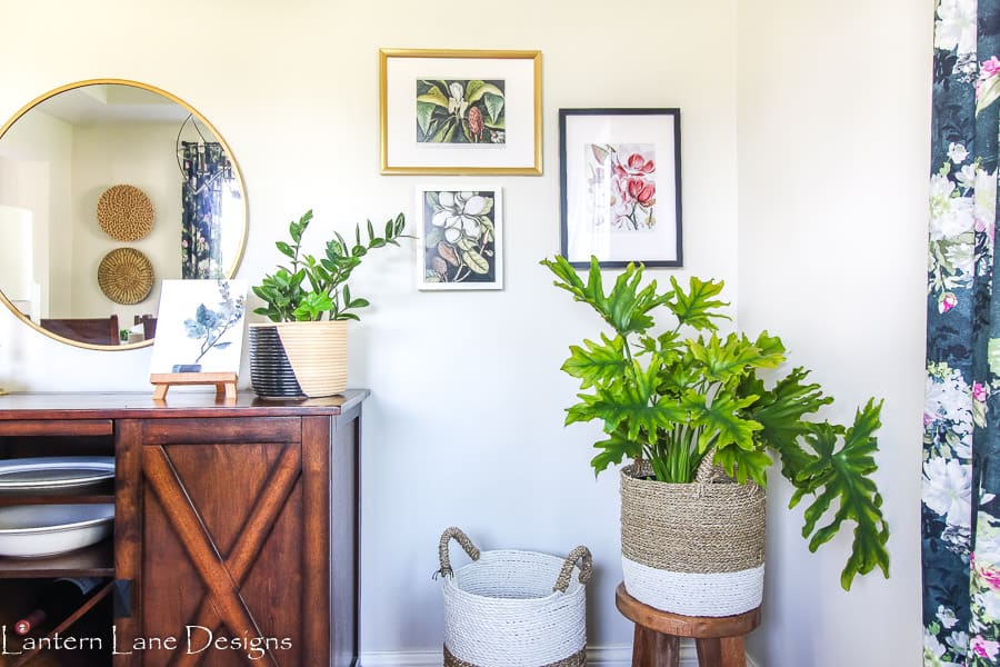 Free Botanical Prints