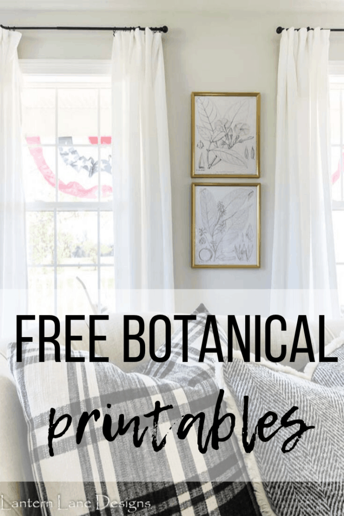 Free botanical prints
