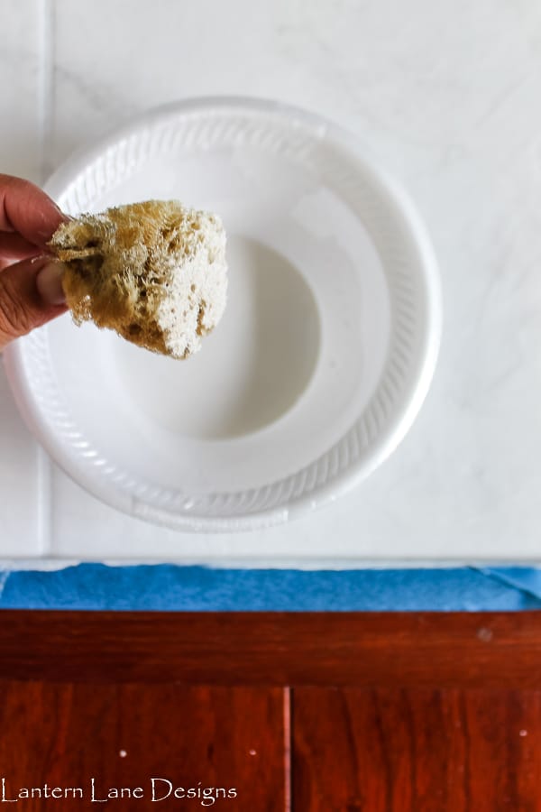 sponge with white paint on it