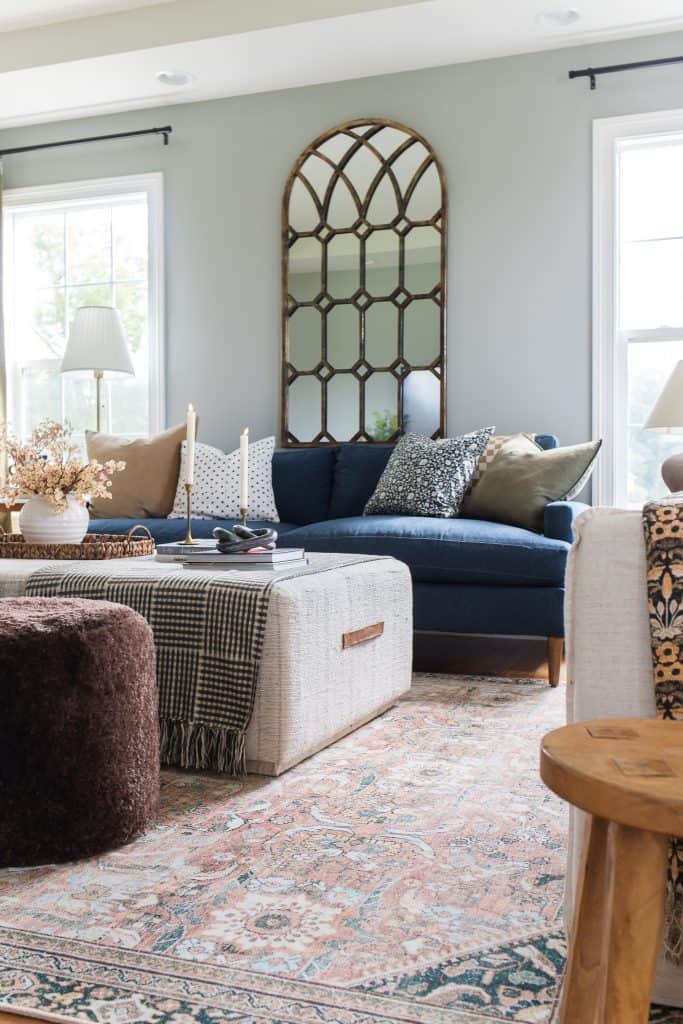 Living room area rug and sofa