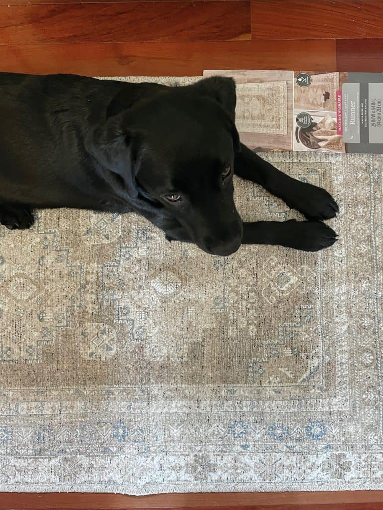 Washable rugs at Walmart